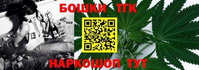 индика Ливны