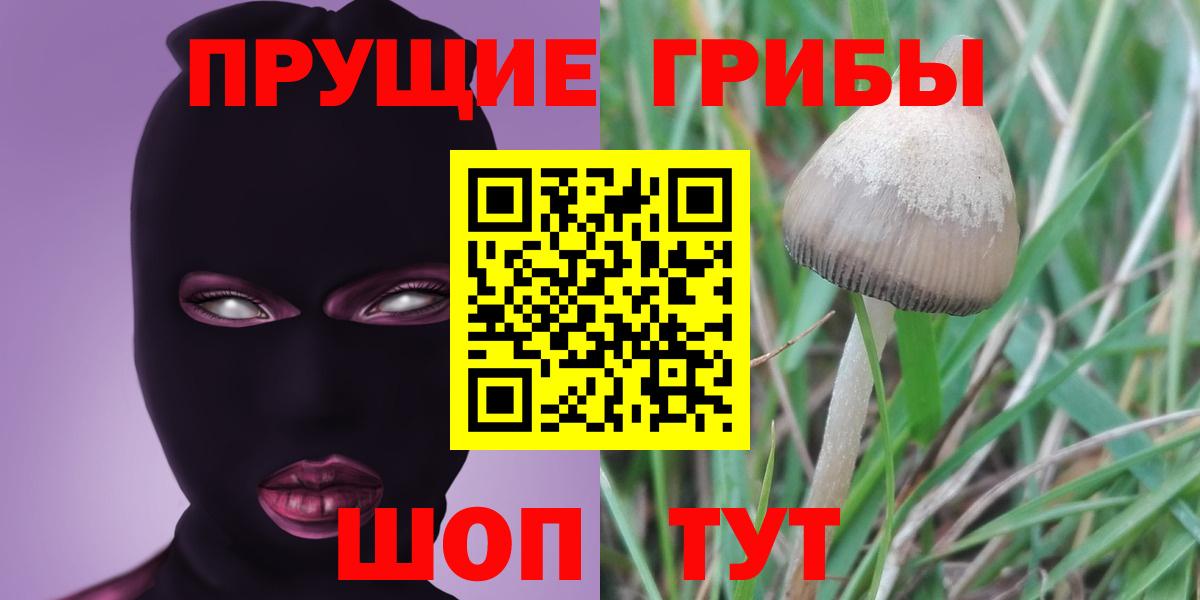 Псилоцибиновые грибы Magic Shrooms Гудермес